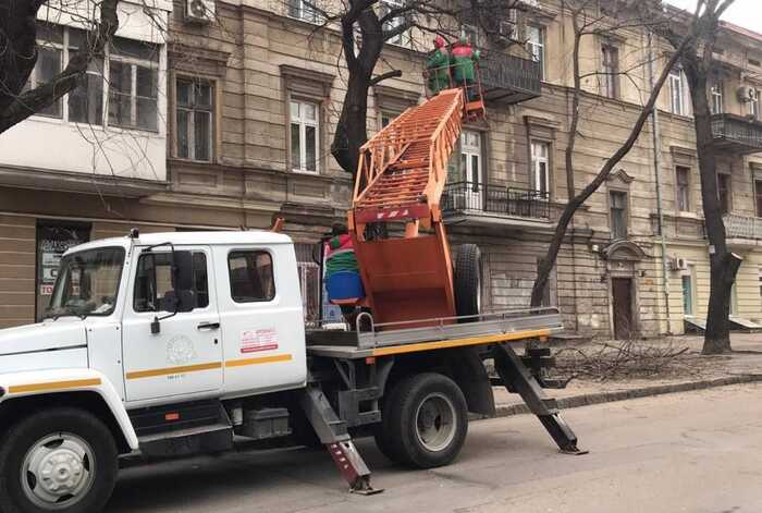 В Одесі тендери на обрізання дерев отримала фірма батька Панчишина